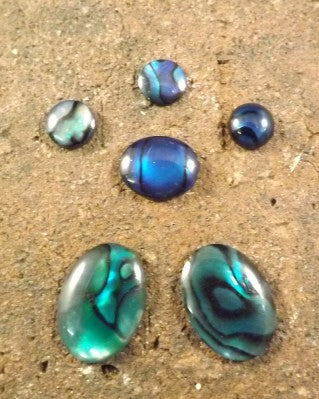 Paua Shell Cabochons
